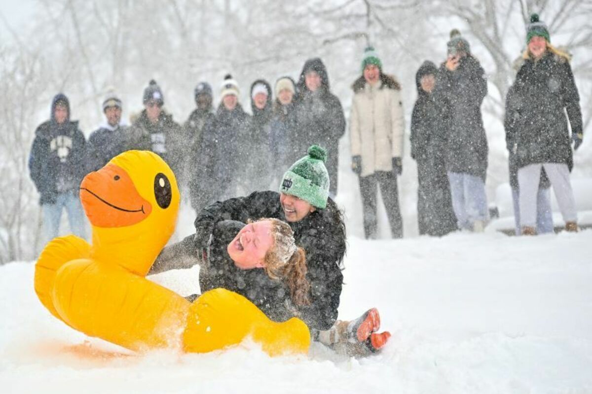 Residents sledding on and inflatable duck during snow fall